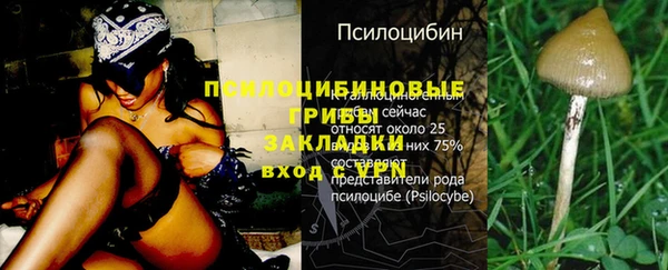 мяу мяу мука Козельск