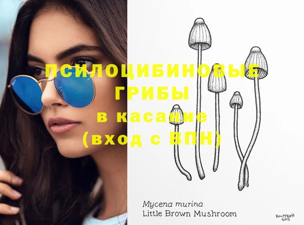 каннабис Корсаков