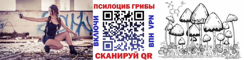 Купить закладки  Новокубанск  Псилоцибиновые грибы прущие грибы 